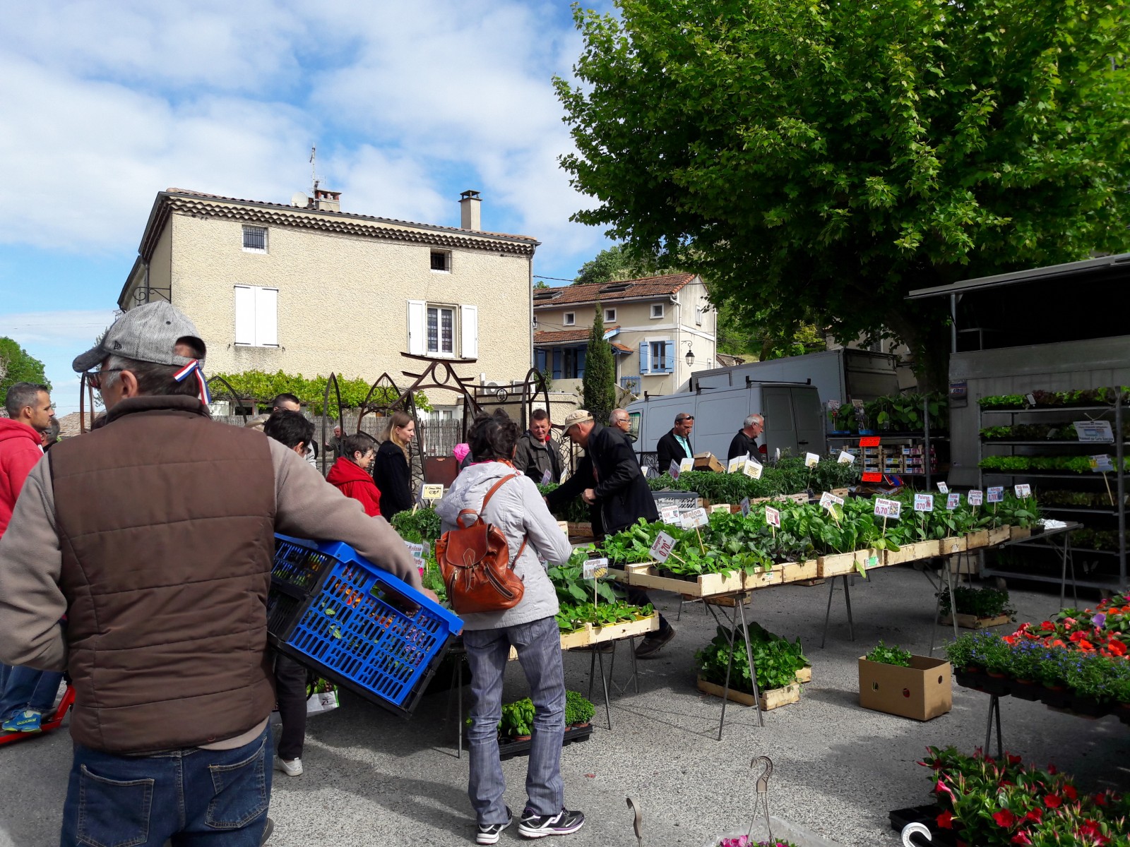 foire aux fleurs